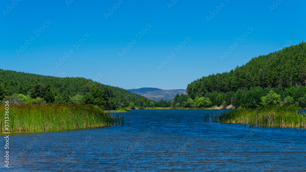 blue lake among forests in national park / camkoru in ankara