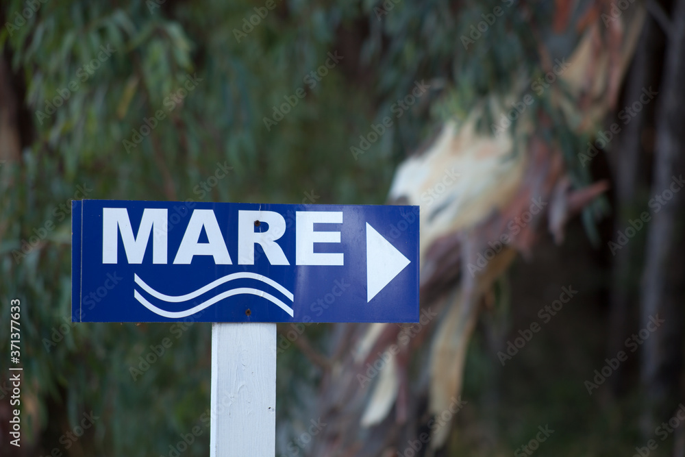 Fototapeta premium segnale