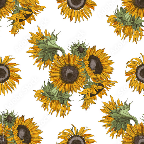 Hand drawn seamless pattern with sunflowers