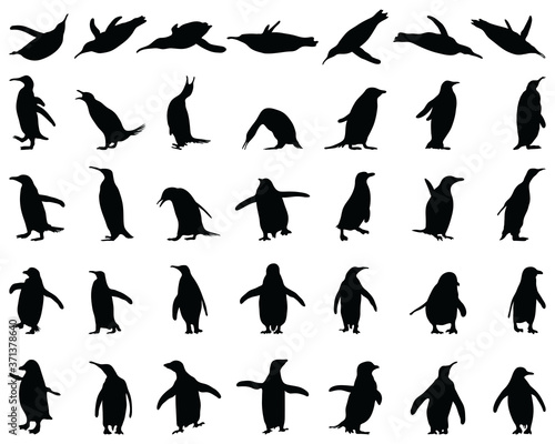 Black silhouettes of penguins on a white background