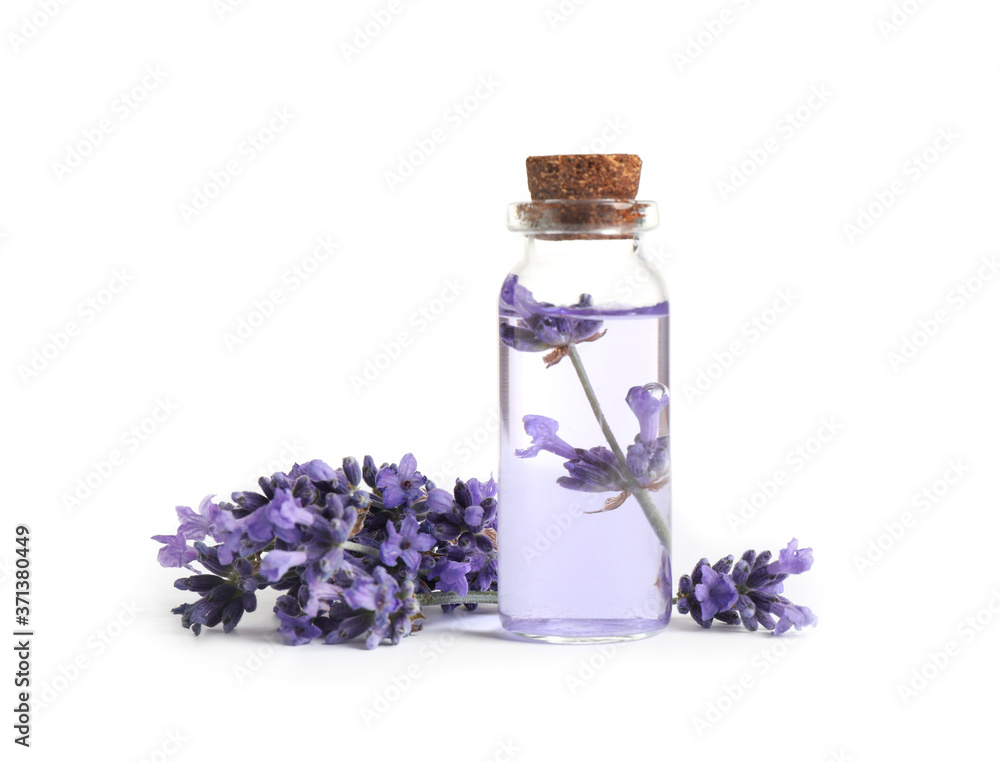 Bottle of essential oil and lavender flowers on white background Bottle of essential oil and lavender flowers on white background