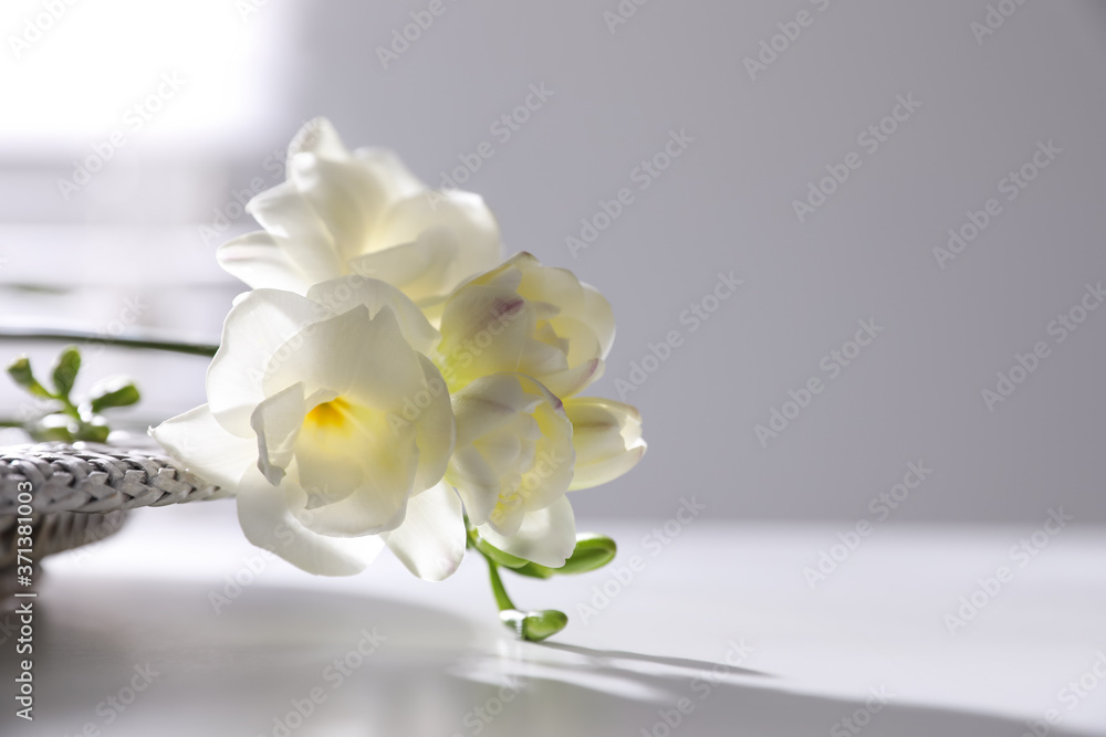 Beautiful freesia flowers on white table indoors, closeup. Space for text