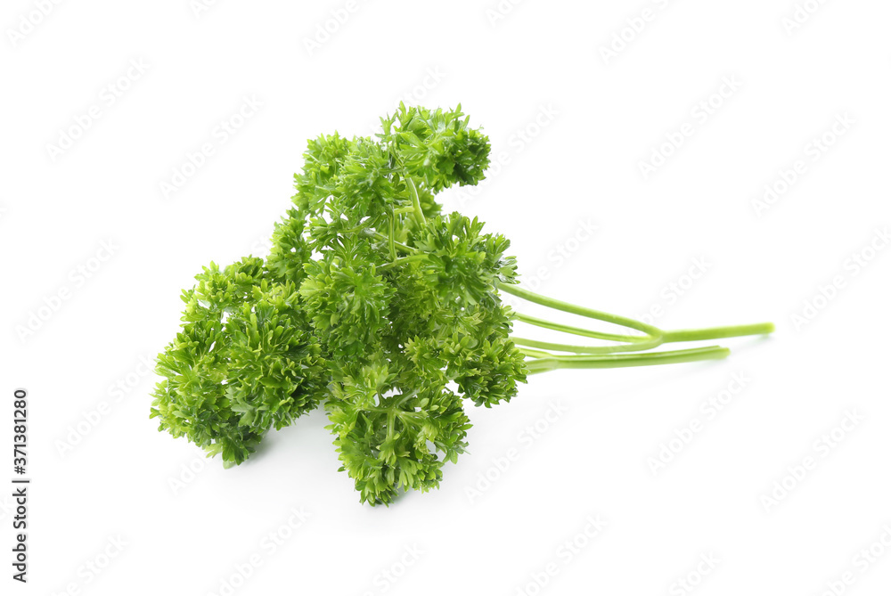 Fresh green curly parsley on white background Fresh green curly parsley on white background