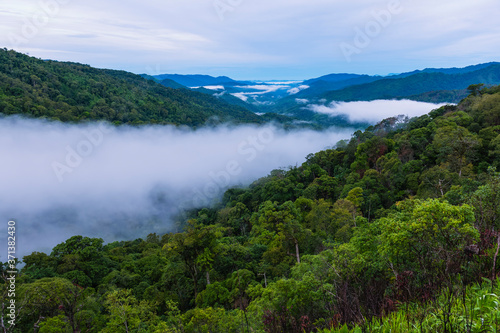 Aerial view of mist,cloud and fog over forest after rain
