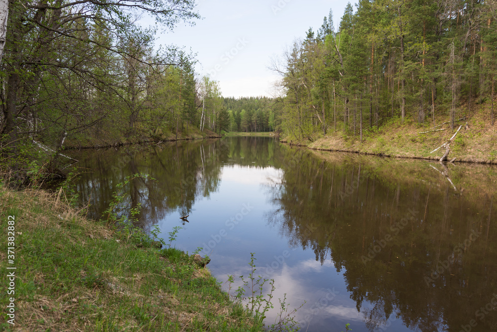 Landscape shots of the lake Serpentine in the village of Izmaylovka