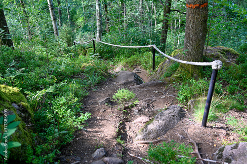 steap trail with white rope as support photo