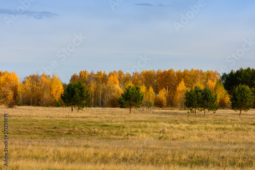 Landscape images of autumn nature near the village of Shigony