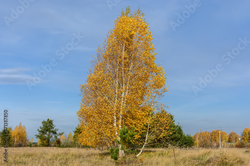 Landscape images of autumn nature near the village of Shigony