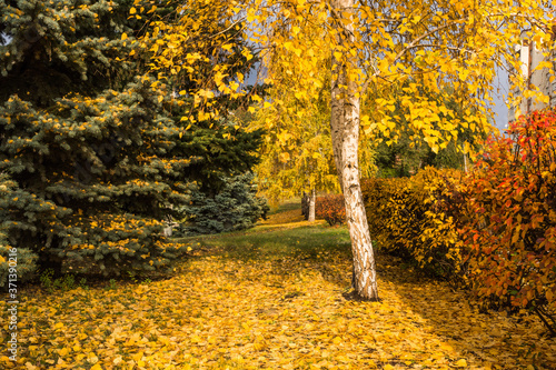 Photos in the autumn city Park