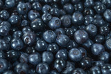 fresh blueberries closeup