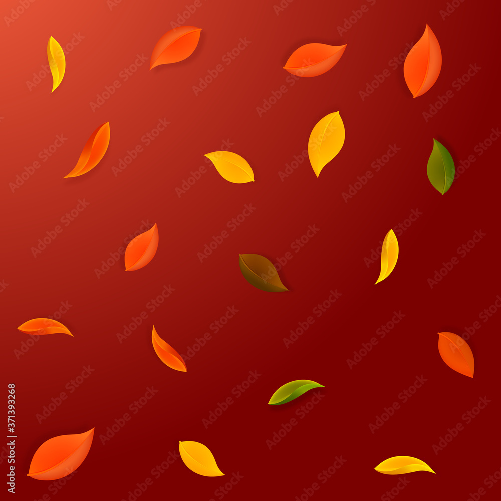 Falling autumn leaves. Red, yellow, green, brown n Falling autumn leaves. Red, yellow, green, brown n