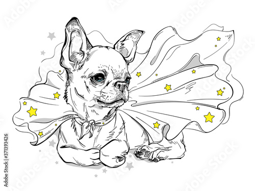 Cute chihuahua in a superhero cape. A dog in a cape with stars. Stylish image for printing on any surface