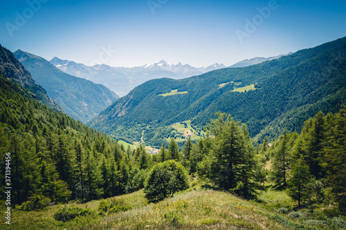 Panorama montano alpino