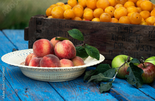 Fototapeta Naklejka Na Ścianę i Meble -  Organic cherry plums in vintage box, bowl with peaches and apples on weathered blue wooden surface against garden background