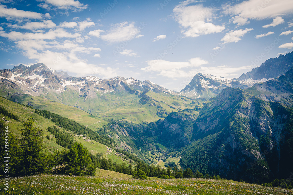 Naklejka premium Panorama montano alpino