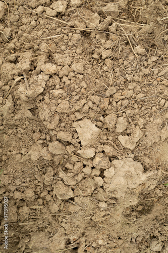 soil texture background
