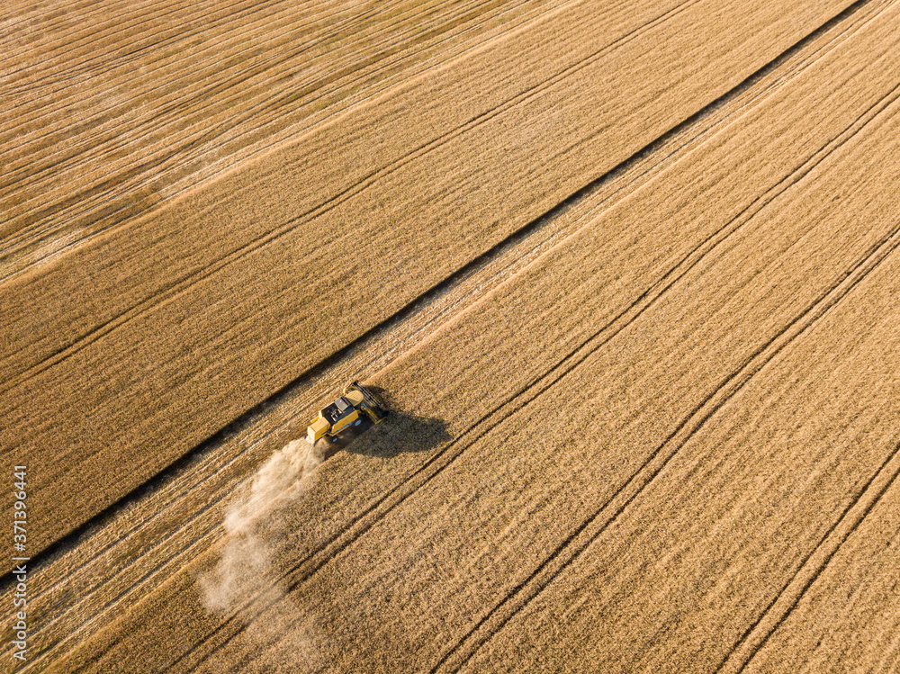 Aerial drone view. Mechanized harvesting of wheat in the field. Aerial drone view. Mechanized harvesting of wheat in the field.