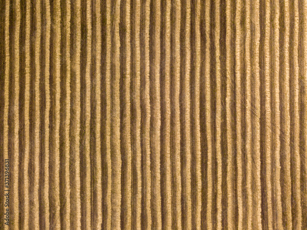 Aerial drone view. Wheat field in Ukraine. Aerial drone view. Wheat field in Ukraine.