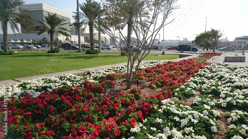 Beautiful landscape on the Doha Corniche