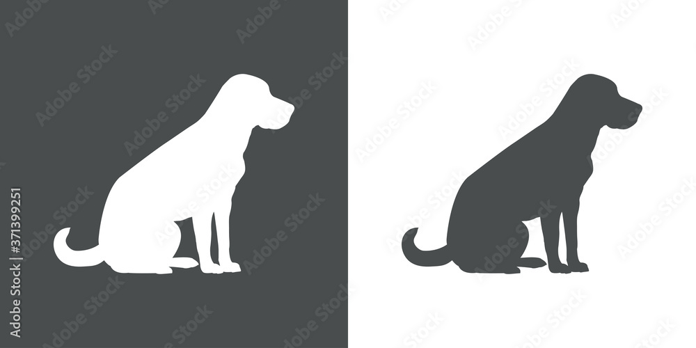 Razas de perros. Silueta de perro golden retriever sentado en fondo gris y fondo blanco Razas de perros. Silueta de perro golden retriever sentado en fondo gris y fondo blanco
