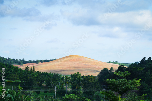A mountain was cut down from a tree and the top of the ground was cleared. Deforestation is a serious problem affecting the global environment.