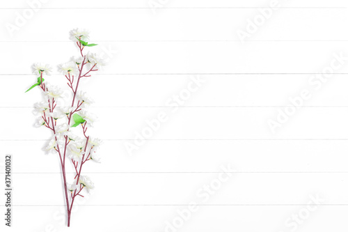 Apple tree branch with white flowers on a light wooden background