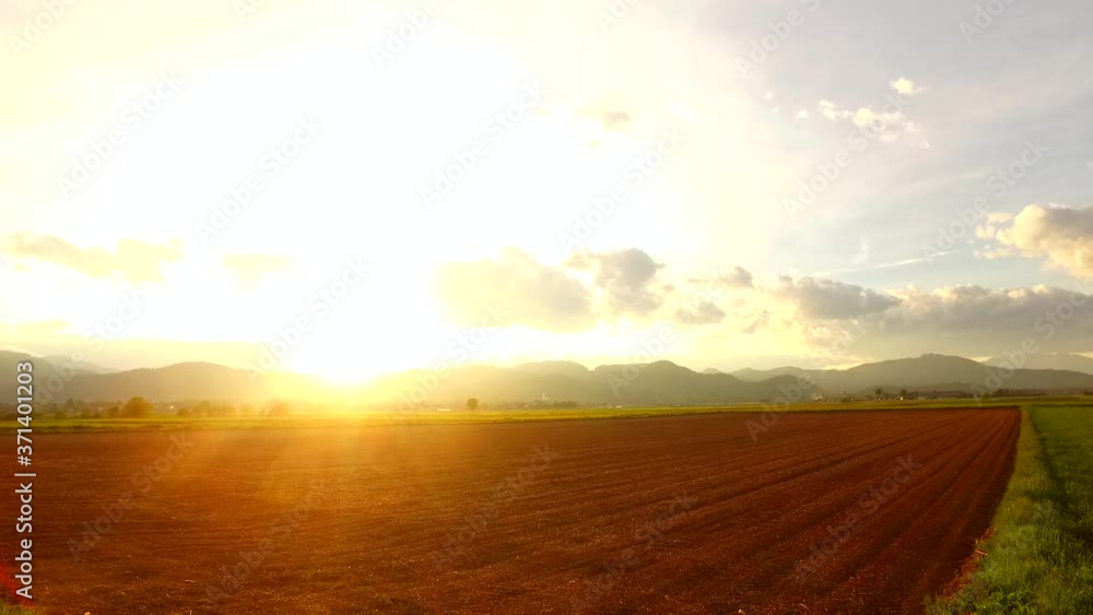 custom made wallpaper toronto digitalA day ends on the fields, meadows. Intensive green colors of food, cereal, pastures. Farming at its maximum potential. Growth. Economy. Prosperity. Food self-sufficiency. Important in new century.