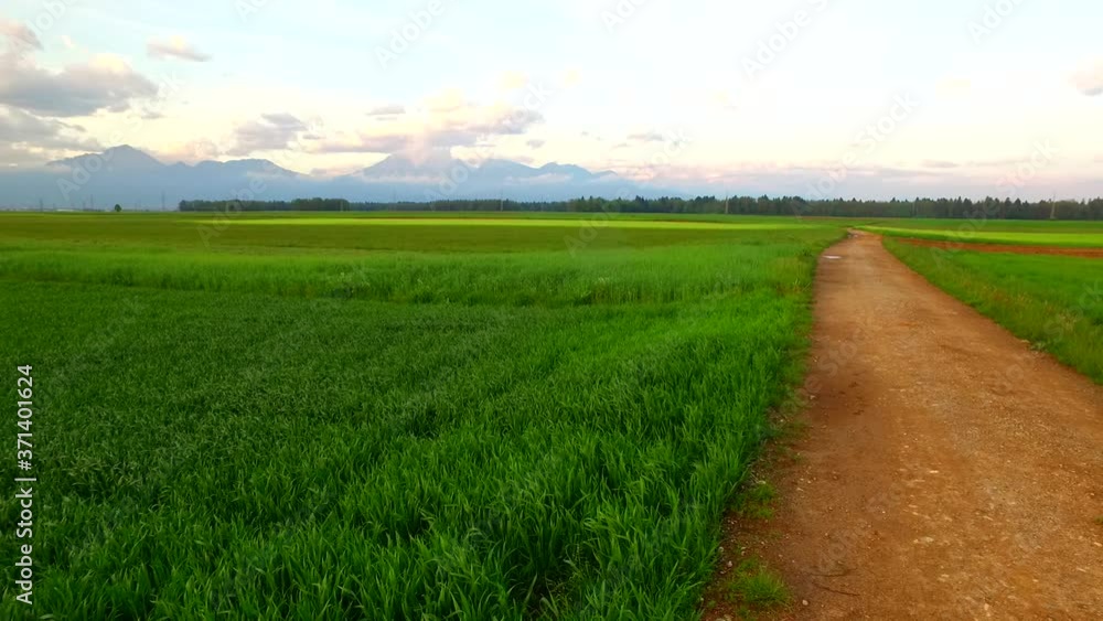 A day ends on the fields, meadows. Intensive green colors of food, cereal, pastures. Farming at its maximum potential. Growth. Economy. Prosperity. Food self-sufficiency. Important in new century. A day ends on the fields, meadows. Intensive green colors of food, cereal, pastures. Farming at its maximum potential. Growth. Economy. Prosperity. Food self-sufficiency. Important in new century.