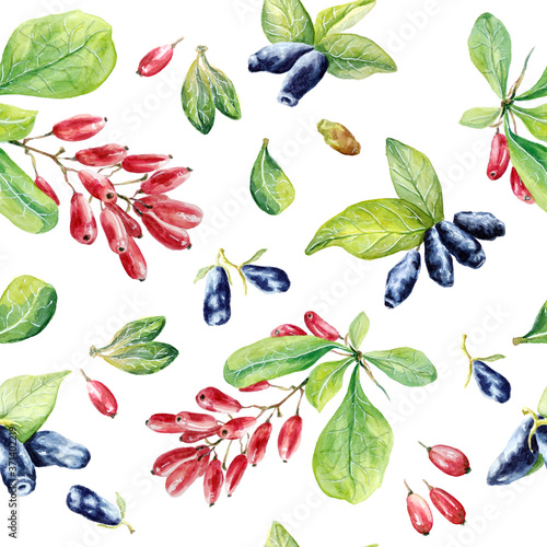 seamless pattern of berries barberry and honeysuckle watercolor