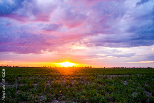 Beautiful sunset on a summer day in the field. Beautiful sunset sky with lots of bright clouds. © Eugenia Sh