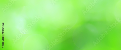 green background, panoramic view long blurred gradient green summer abstract