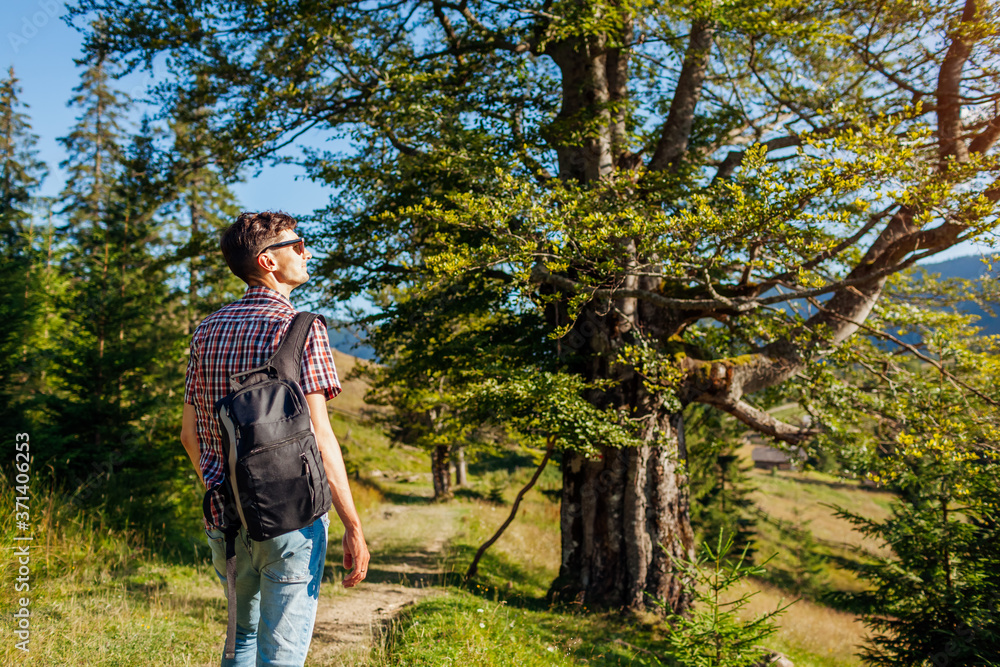 Man tourist hiker walking through forest in Carpathian mountains enjoying view. Traveling in summer Ukraine. Man tourist hiker walking through forest in Carpathian mountains enjoying view. Traveling in summer Ukraine.