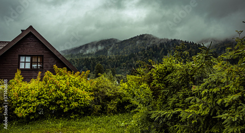 Fototapeta Naklejka Na Ścianę i Meble -  House in the fog near mountains. Bieszczady Poland.