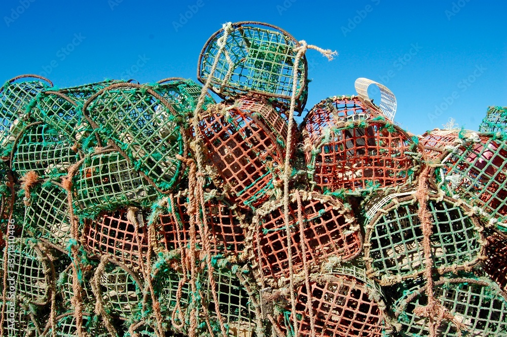 Casier de pêche Casier de pêche