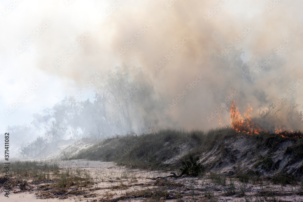 Australia bushfires in summer fire season