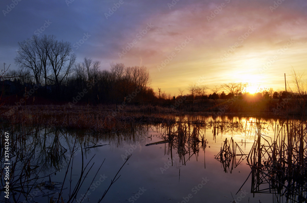 Sunset marsh