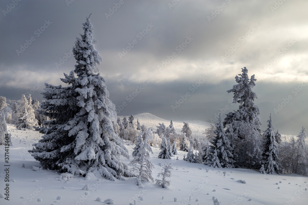 Winter in the mountains