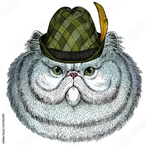 Persian longhair cat. Pet portait. Austrian bavarian tirol hat. Beer festival. Oktoberfest.