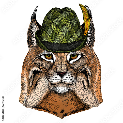 Lynx, bobcat, trot portrait. Austrian bavarian tirol hat. Beer festival. Oktoberfest. Head of wild cat. Animal face.