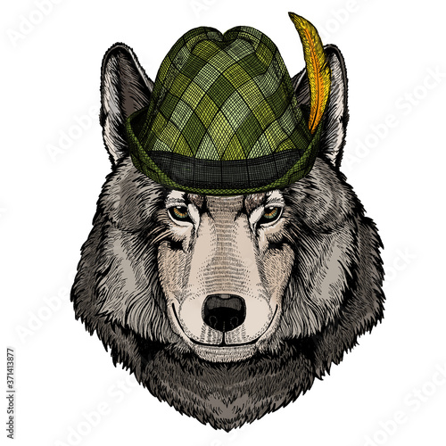 Wolf portrait. Austrian bavarian tirol hat. Beer festival. Oktoberfest. Head of wild animal.