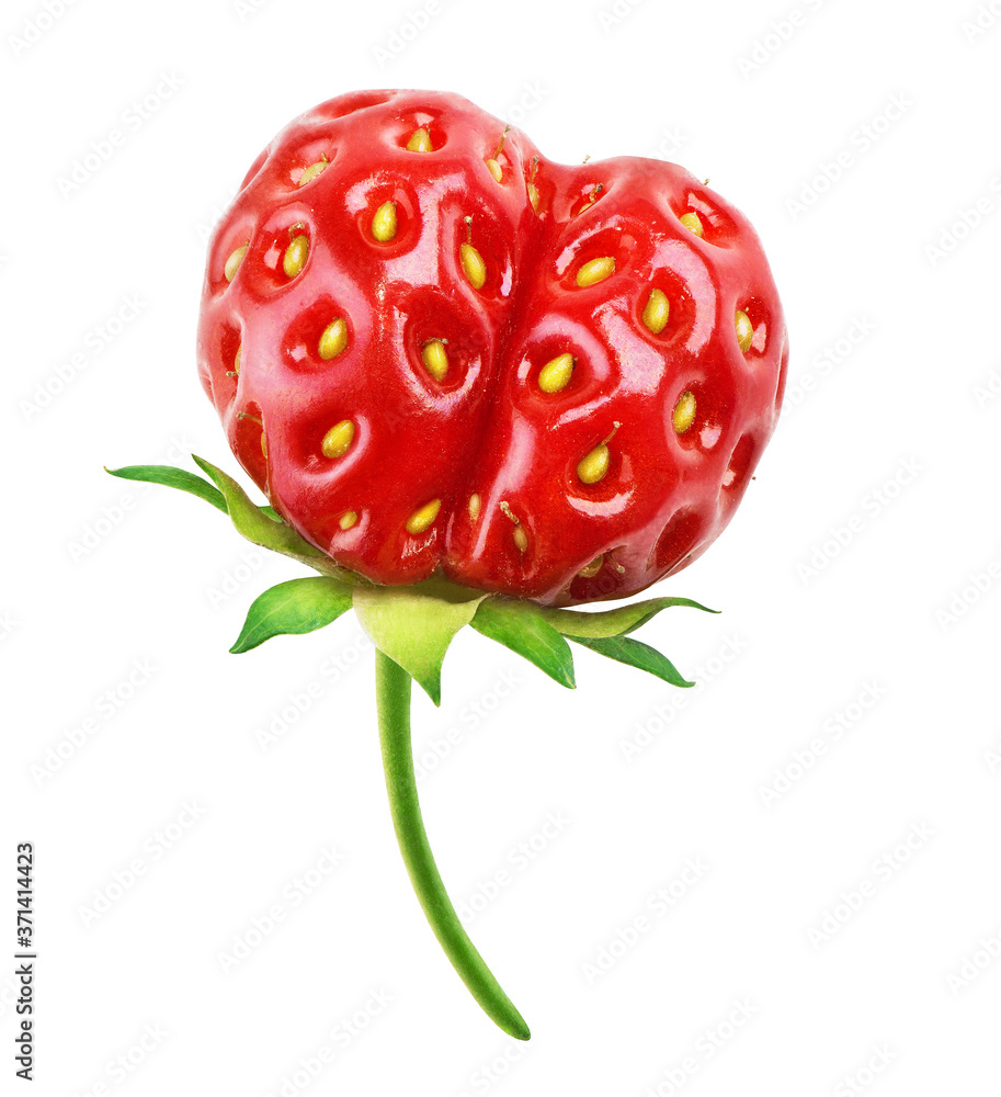 Fresh strawberry isolated Fresh strawberry isolated