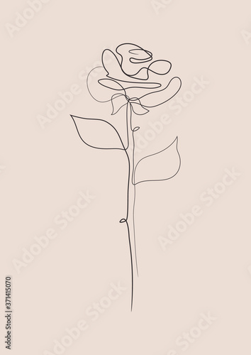 Rose one line wall print. A...