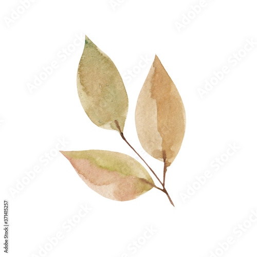 Watercolor drawing of autumn twigs and leaves on a white background. Autumn colors, element of nature, season, decoration, part of the tree.