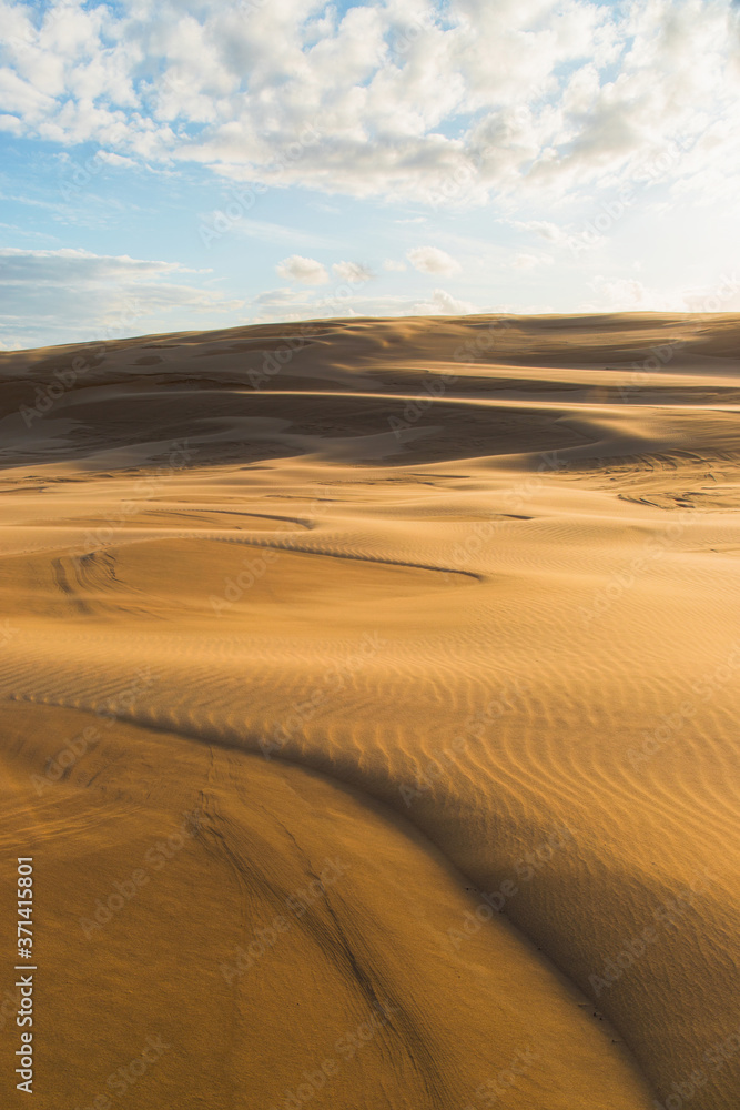 Golden light on the sand dune surface.