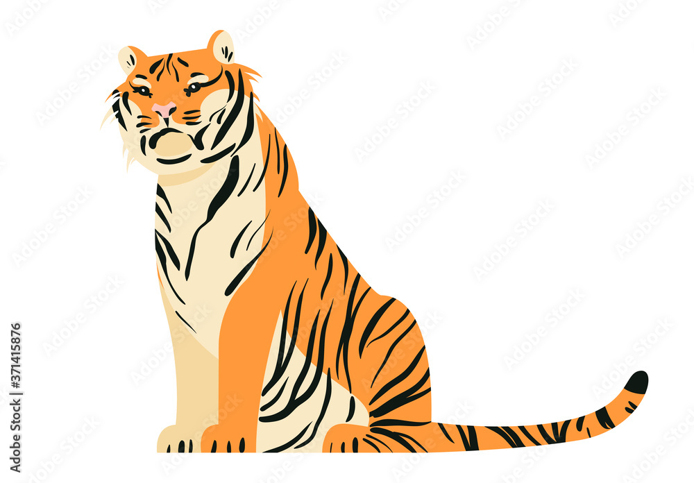 Obraz premium Isolated on white sitting tiger vector illustration. Big tropical cat design element. African feline in flat cartoon style.