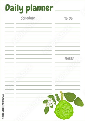 daily planner bergamot