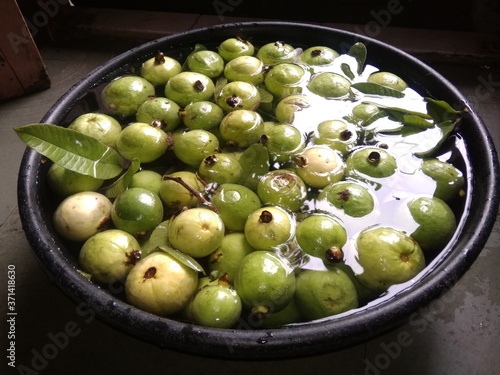 fresh green guava