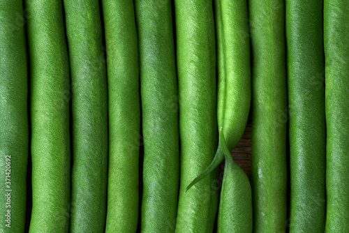Abstract green bean background. Macro photo.