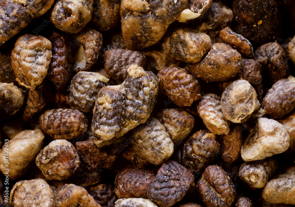 super macro shot food baground .Indian cardamom seeds shot very close up and seen in detail