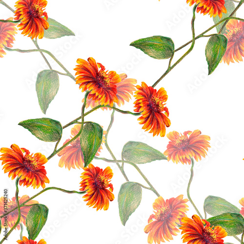  Flowers sun with a leaf on a white background. Seamless pattern for fabric. 